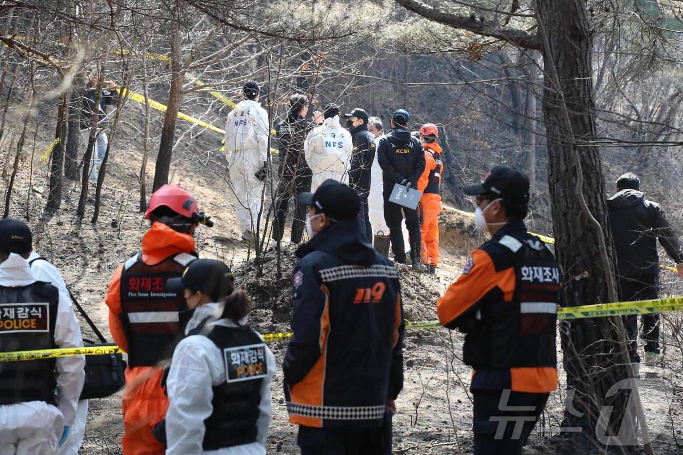 경북 의성군 안평면 괴산리 산불 발생현장에서 국립과학수사연구원 및 소방당국 관계자들이 합동 감식을 벌이고 있다. 2025.3.31/뉴스1 ⓒ News1 공정식 기자