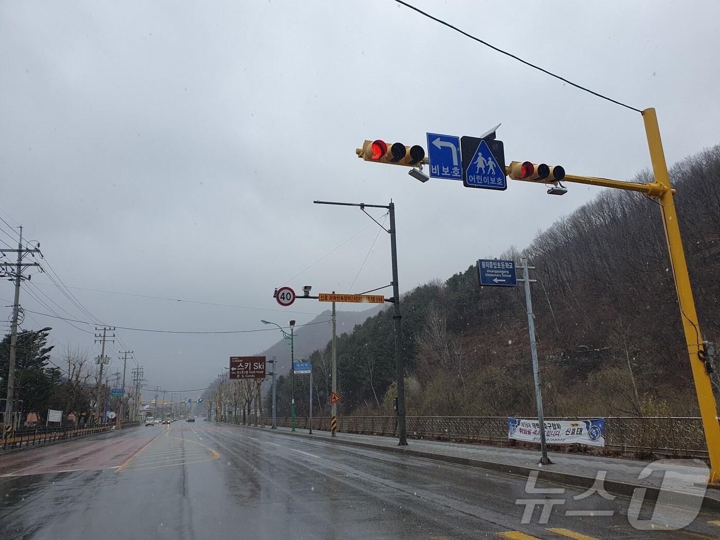 본문 이미지 - 강원 태백시 황지중앙초 앞 신호기 자료 사진. (태백시 제공. 재판매 및 DB금지) 2025.3.31/뉴스1