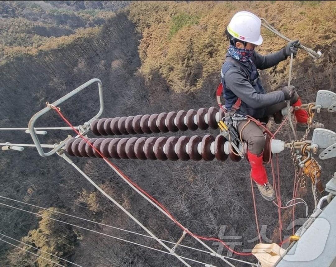 본문 이미지 - 한국전력은 영남권에서 발생한 대형 산불로 피해를 입은 전력설비 신속 복구작업을 진행 중이라고 31일 밝혔다. 사진은 송전선로 애자 복구작업.&#40;한전 제공, 재배포 및 DB 금지&#41; /뉴스1 2025.3.31/뉴스1