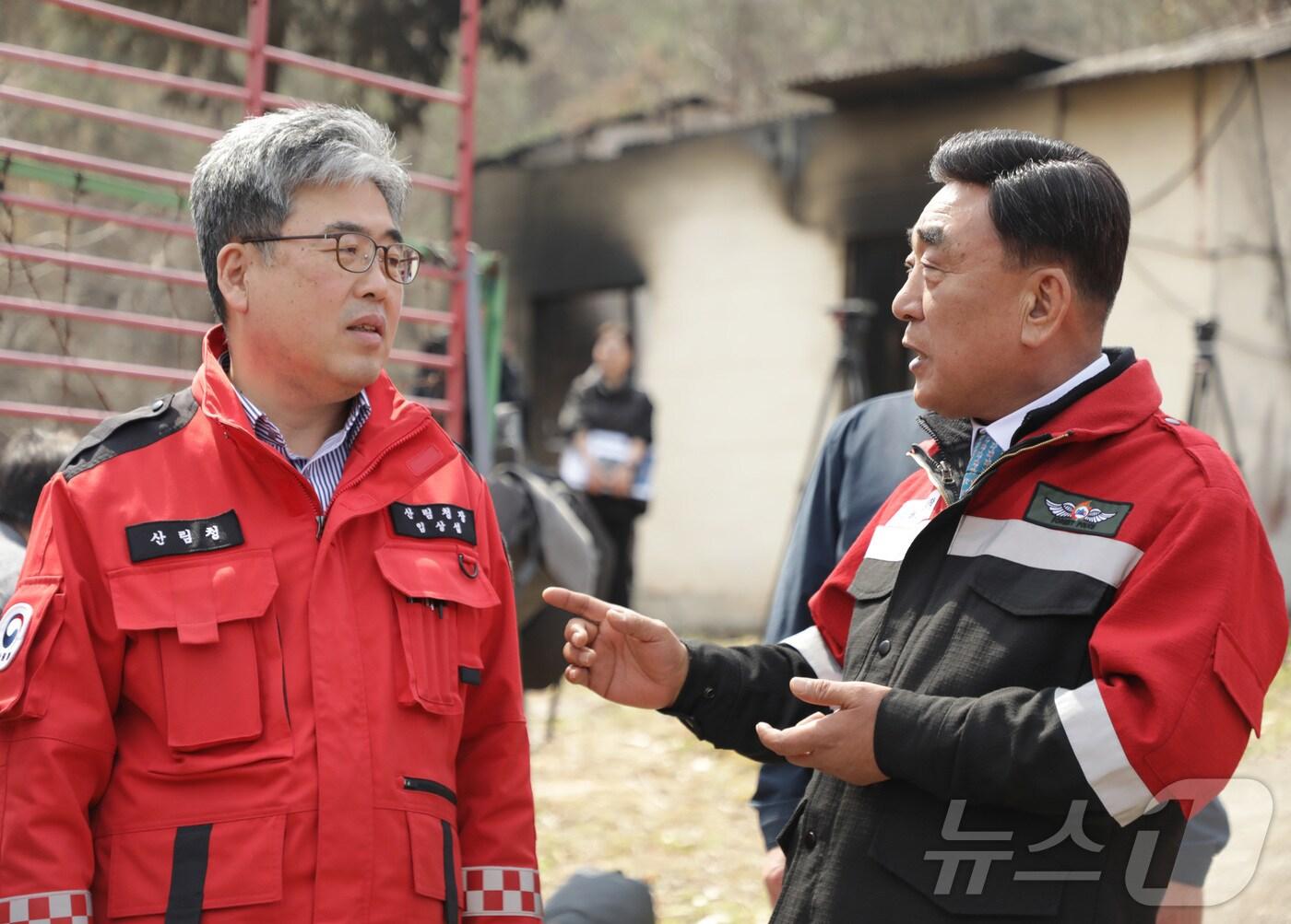 본문 이미지 - 임상섭 산림청장과 김두겸 울산시장이 31일 울산 울주 온양읍 일원을 방문해 산불 피해지를 점검하고 있다.2025.3.31/뉴스1 ⓒ News1 김지혜 기자