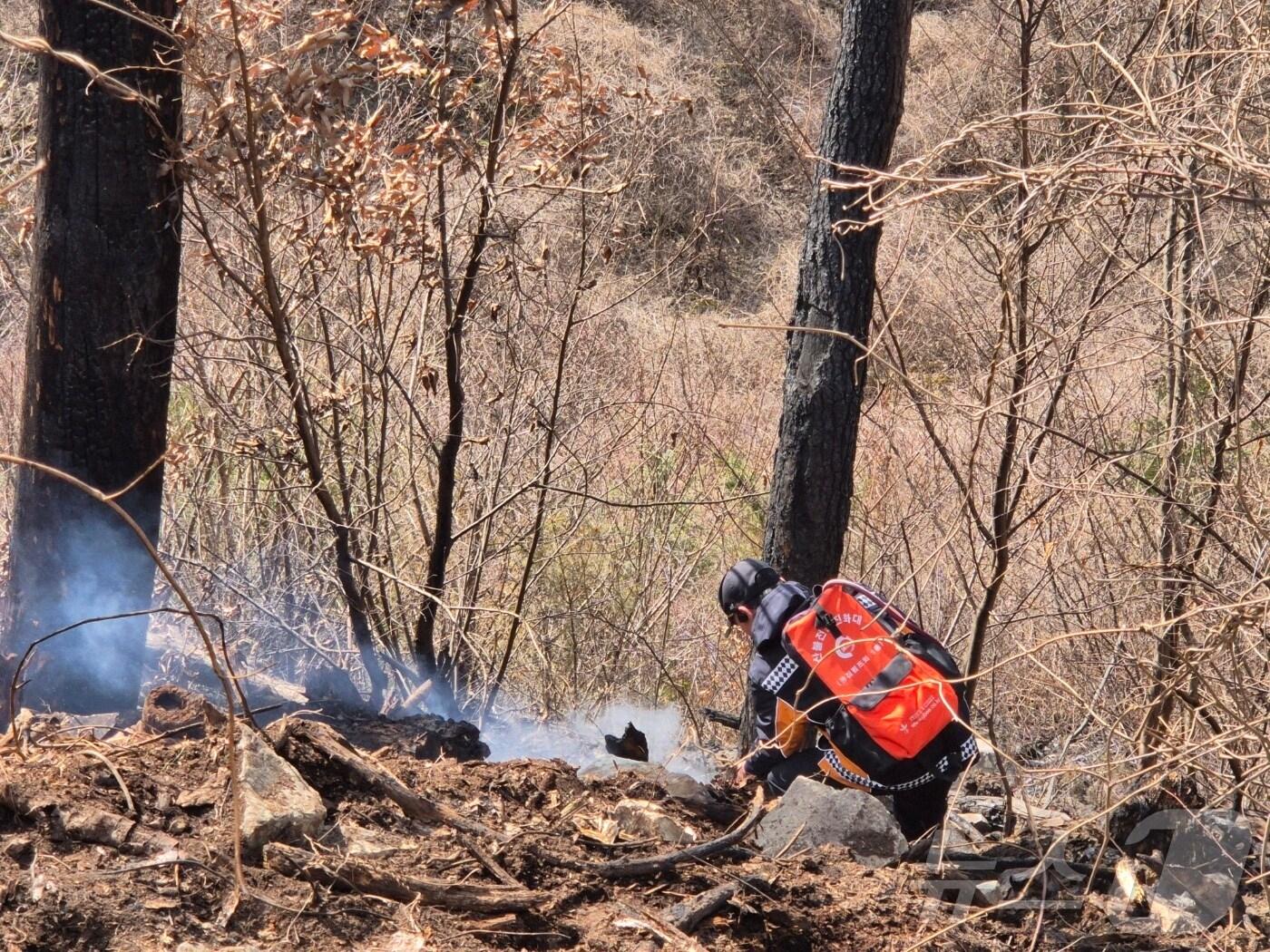 본문 이미지 - 전북자치도소방본부가 내달 3일부터 6일까지 산불 등 재난 신속 대응을 위한 특별경계근무에 돌입한다고 31일 밝혔다.(전북소방 제공. 재판매 및 DB금지) 