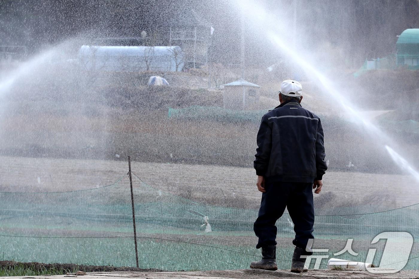 31일 오후 경북 의성군 안평면 석탑리 한 마늘밭에서 고령의 농부가 산불로 며칠째 돌보지 못했던 밭에 스프링클러를 작동시켜 시원한 물줄기를 바라보고 있다. 2025.3.31/뉴스1 ⓒ News1 공정식 기자