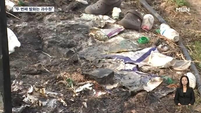 본문 이미지 - (MBN 뉴스 갈무리)