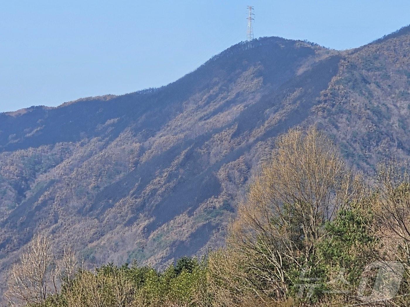 본문 이미지 - 검게 그을린 하동 옥종면 우방산. 2025.3.31/뉴스1 한송학기자