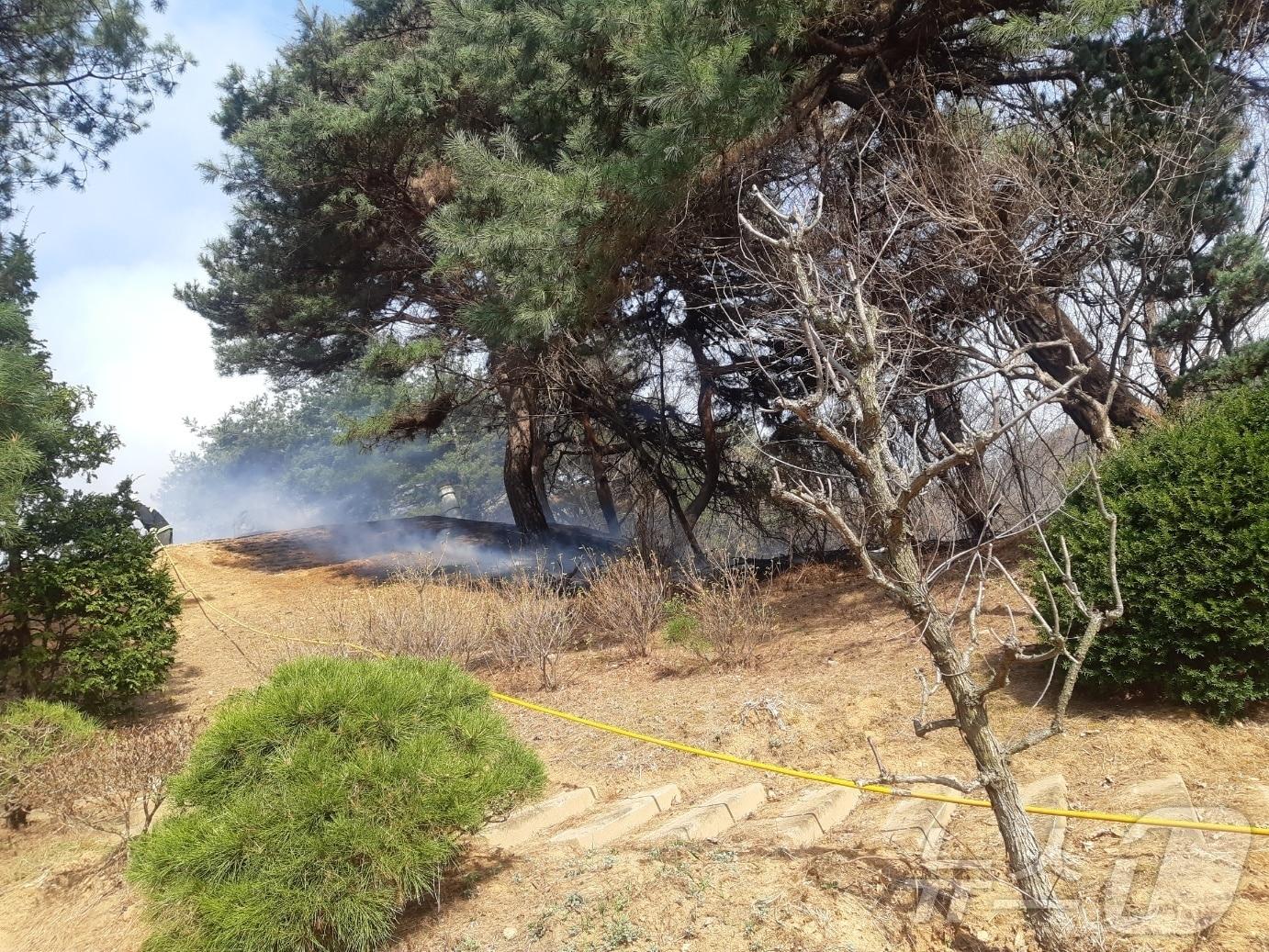 본문 이미지 - 파주 산불 현장(경기도북부소방재난본부 제공, 재판매 및 DB 금지)/뉴스1