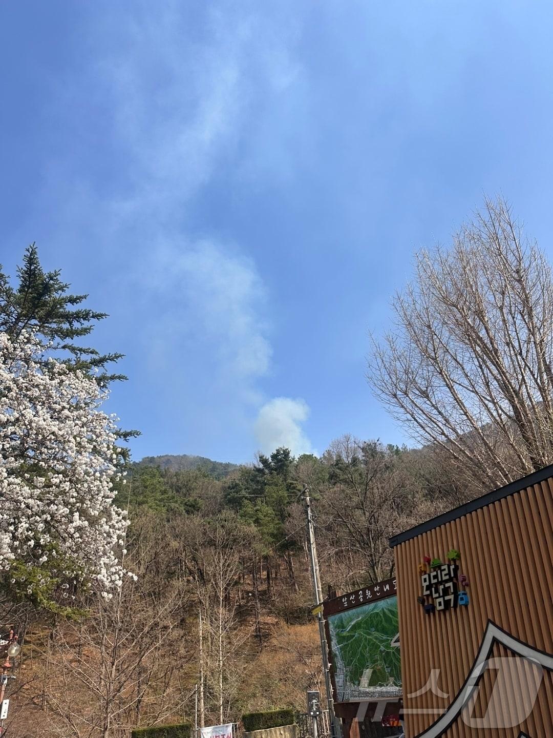 본문 이미지 - 31일 오후 3시 7분쯤 대구 남구 봉덕동 앞산 은적사 인근에서 불이 나 약 40분 만에 꺼졌다. (대구소방본부 제공. 재판매 및 DB 금지) 2025.3.31/뉴스1