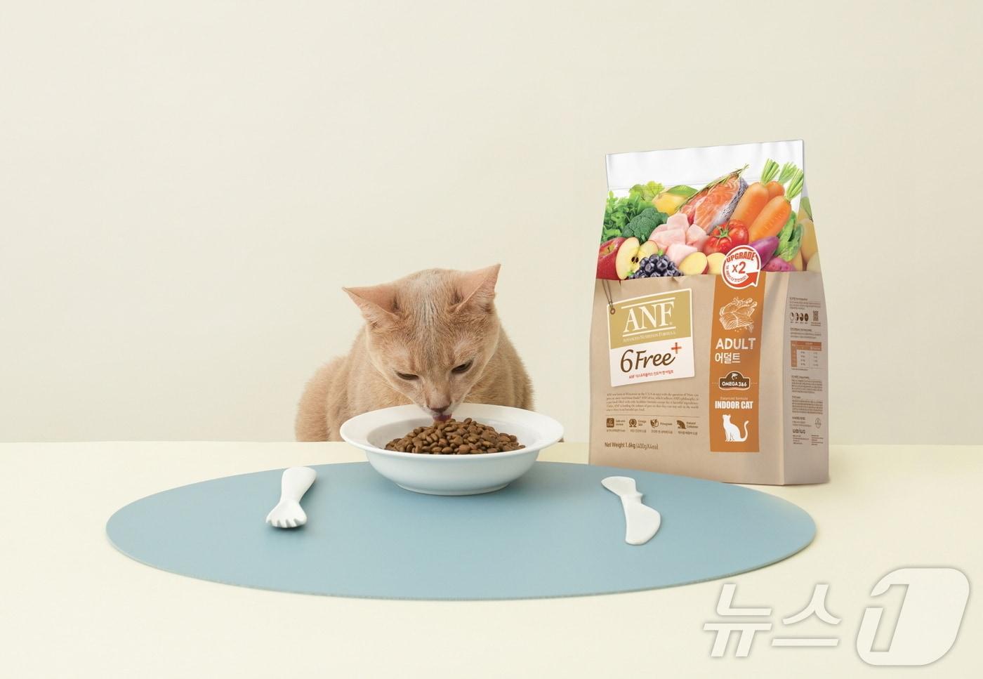 고양이 사료(우리와주식회사 제공)