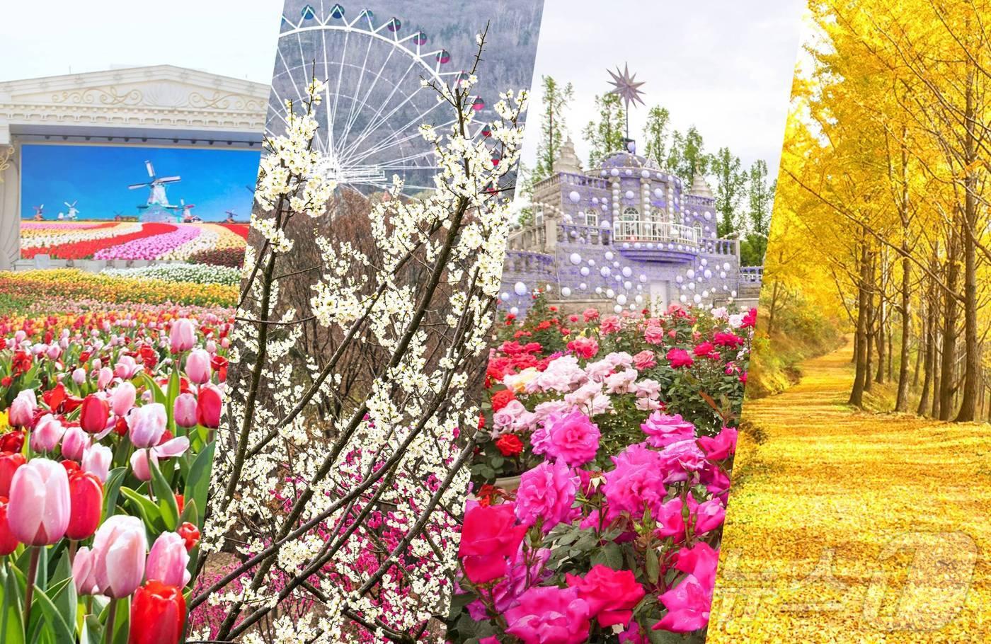 에버랜드 사계절 정원 구독 서비스 &#39;가든패스&#39;&#40;에버랜드 제공&#41;