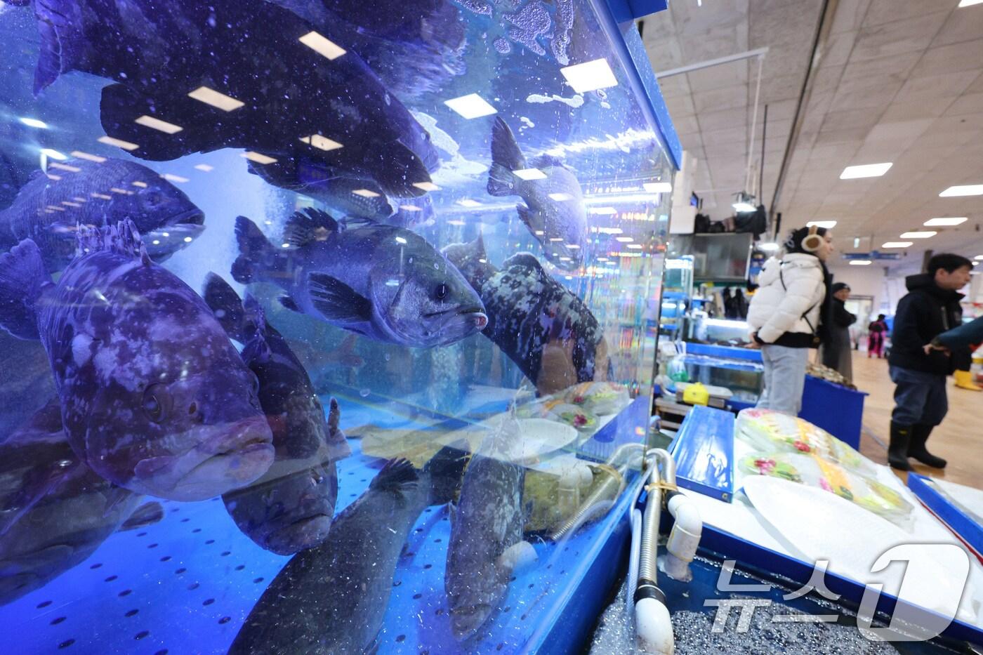 서울 노량진수산시장(사진은 기사 내용과 관련 없음)ⓒ News1 신웅수 기자