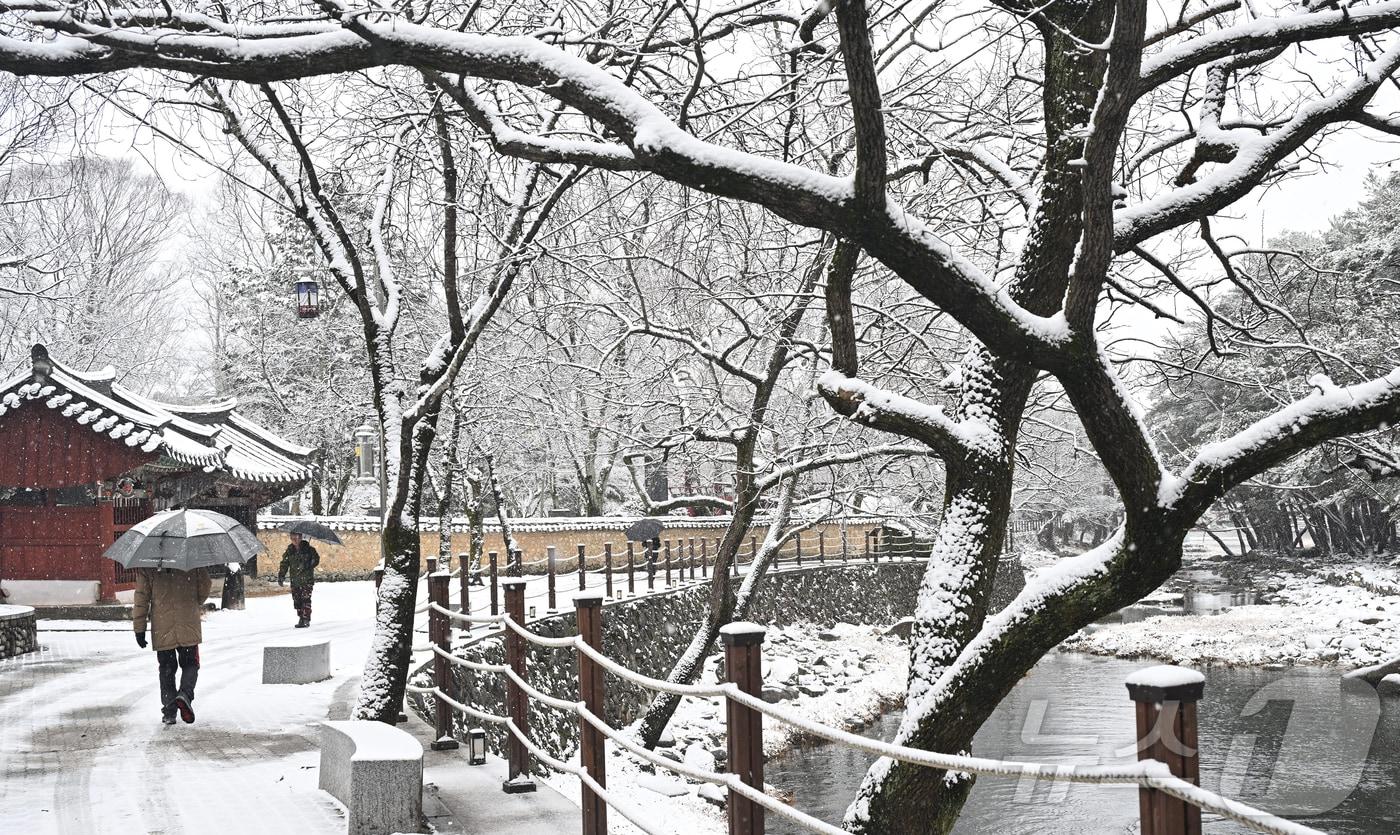 눈 내리는 거리.(뉴스1 DB)