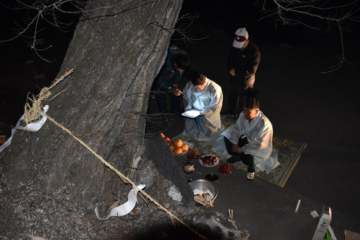 세종시 부강면 등곡마을 동제. (세종시 제공. 재판매 및 DB금지)