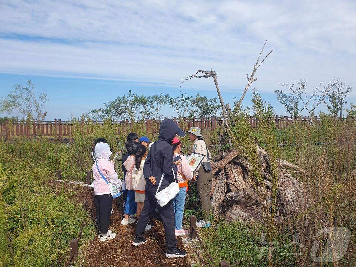 본문 이미지 -  새만금환경생태단지관리단은 청소년을 대상으로 자신의 미래에 대해 탐색하고 체험하는 '오고 가는 생태교실'을 운영한다. 관리단 생태교실 한 장면(관리단 제공. 재판매 및 DB금지)2025.3.4/뉴스1