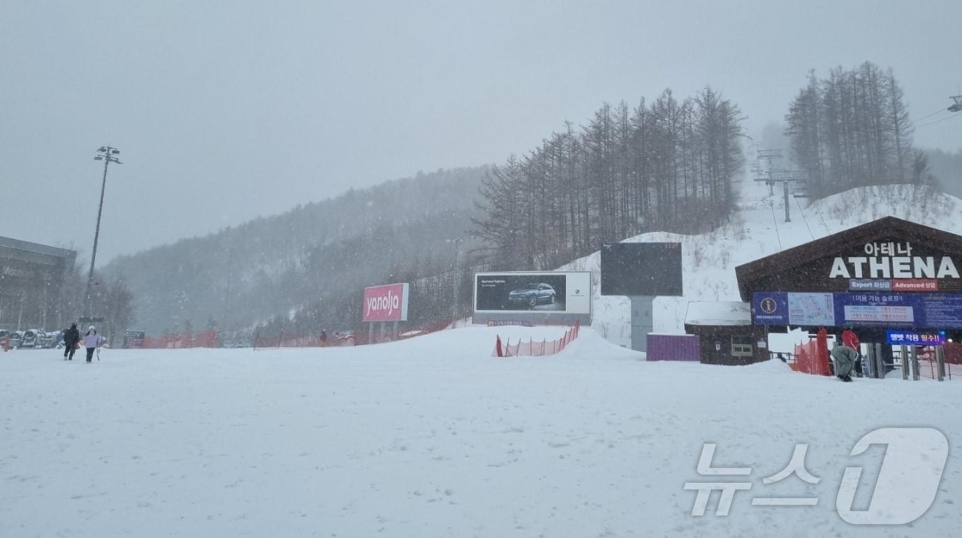 본문 이미지 - 강원지역에 대설특보가 발효된 지난 4일 강원랜드가 운영하는 하이원리조트 스키장에 눈이 쌓이고 있다. (강원랜드 제공. 재판매 및 DB금지) 2025.3.4./뉴스1 ⓒ News1 신관호 기자
