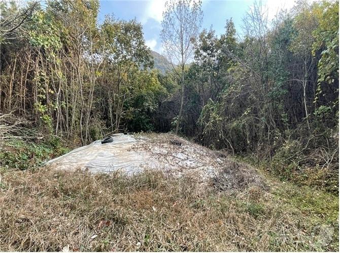 본문 이미지 - 전북자치도 임실군이 여름철 옥정호 녹조 발생에 선제적으로 대응하기 위하여 상류 지천에 방치된 야적 퇴비 조사를 실시한다.&#40;임실군제공. 재판매 및 DB금지&#41;2025.3.5/뉴스1