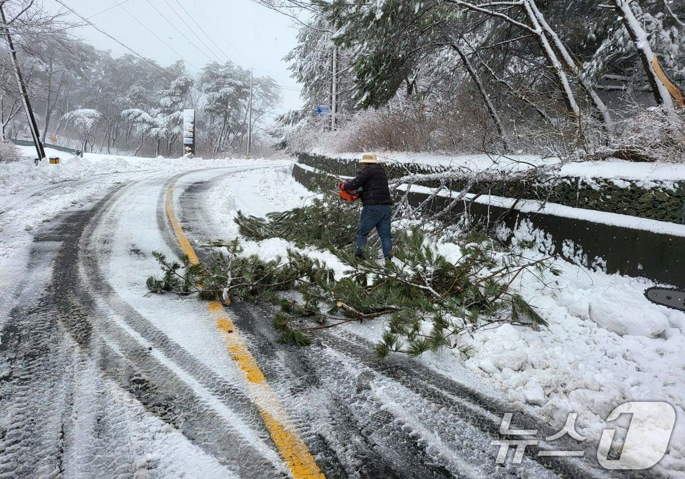 5일 오전 경북 경주시 제설팀이 전날 대설경보로 통제됐던 불국로에서 제설작업을 하고 있다. 경주시는 이날 오전 중으로 7km 양방향을 개통시키겠다고 밝혔다. &#40;경주시제공, 재판매 및 DB 금지&#41; 2025.3.5/뉴스1 ⓒ News1 최창호 기자