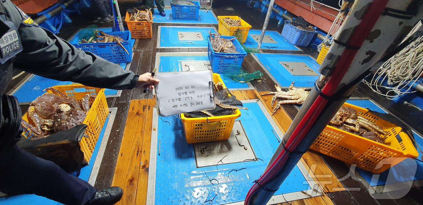 본문 이미지 - 경북 포항해양경찰서가 5일 러시아산 킹크랩을 국내로 밀수한 포항선적 A호(40톤급) 선장 B 씨와 선원 2명을 관세법 위반 혐의로 구속했다. (포항해양경찰서 제공, 재판매 및 DB 금지) 205.3.5/뉴스1 
