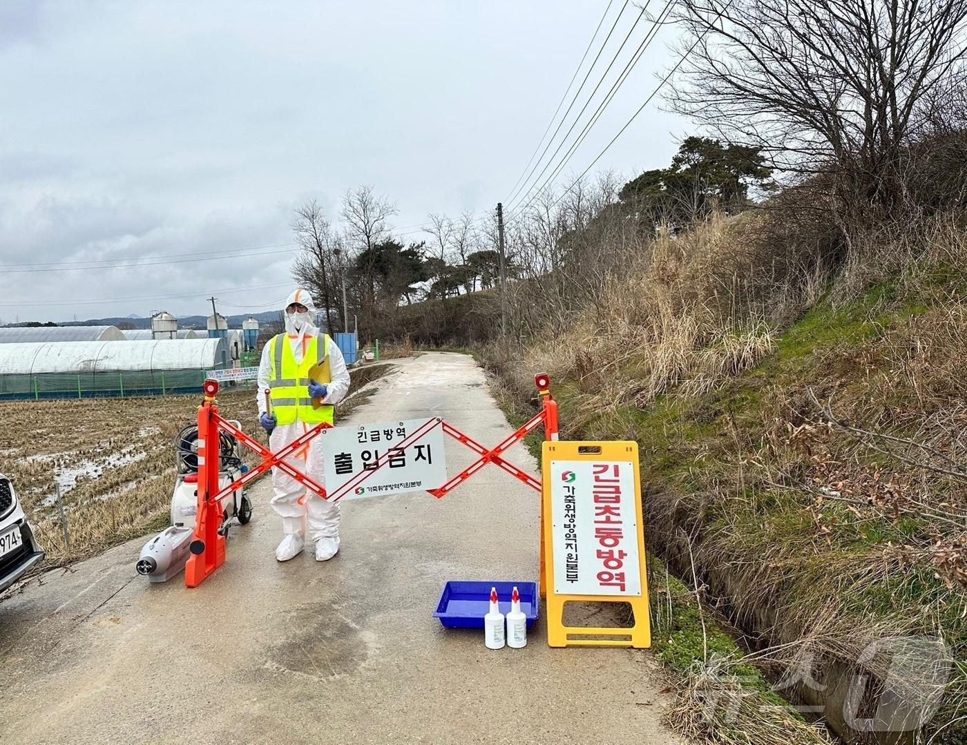 본문 이미지 - 조류인플루엔자 방역 모습.&#40;전남도 제공. 재판매 및 DB금지&#41; 2025.3.5/뉴스1