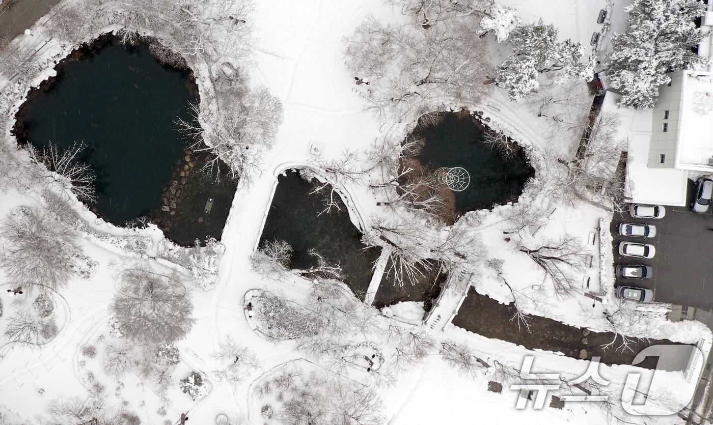본문 이미지 - 강원 산지에 많은 눈이 내린 가운데 강원도 태백시 낙동가 발원지 황지연못이 폭설로 덮혀 있다. 2025.3.5/뉴스1 ⓒ News1 김명섭 기자