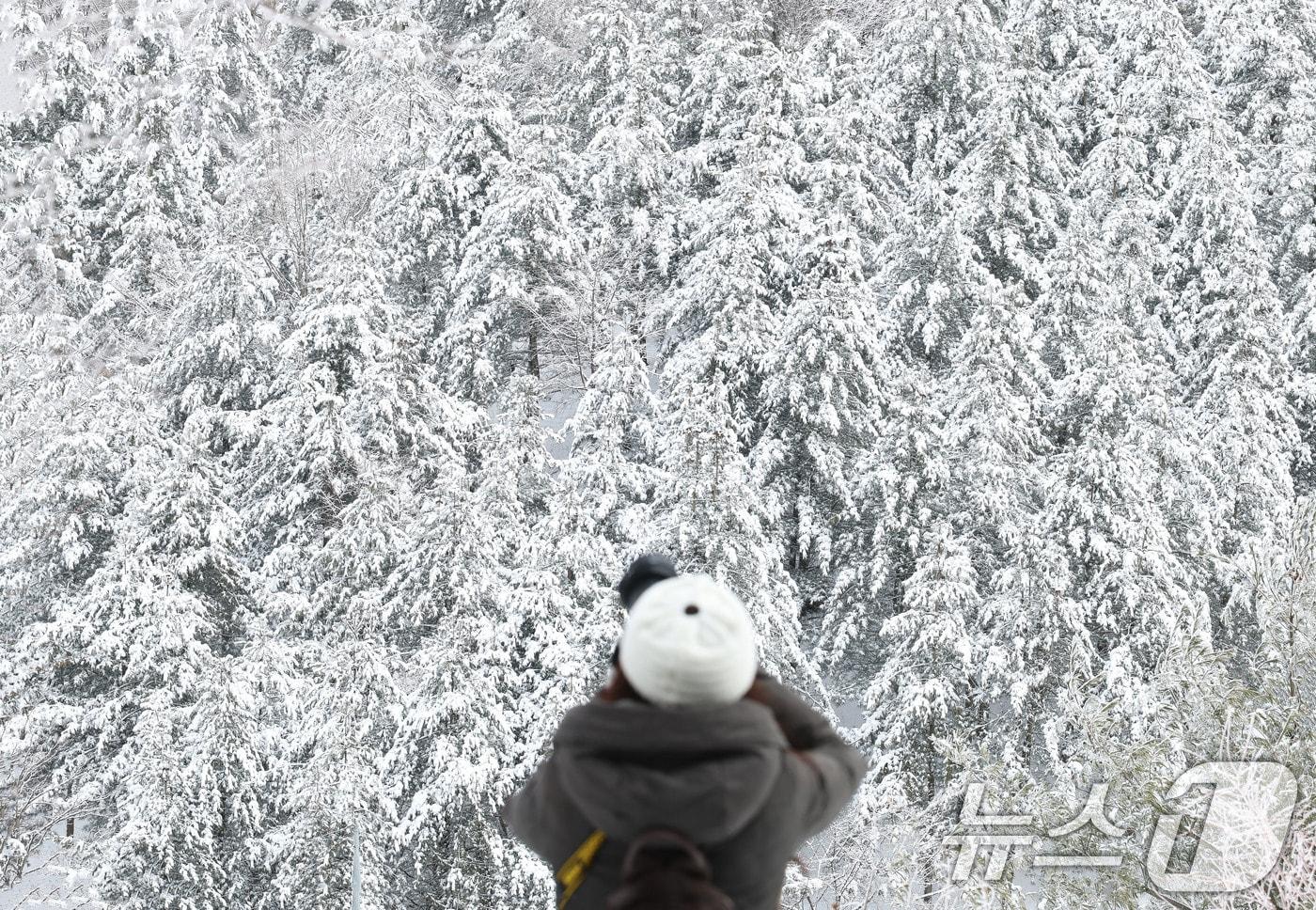 절기상 경칩이자 포근한 날씨를 보인 5일 경남 함양군 휴천면 오도재에서 한 사진가가 하얗게 쌓인 함박눈을 촬영하고 있다. &#40;함양군 김용만 제공. 재판매 및 DB 금지&#41; 2025.3.5/뉴스1