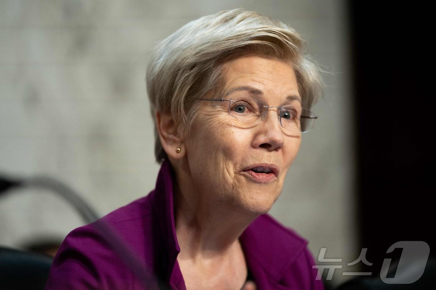 엘리자베스 워런 민주당 상원의원 ⓒ AFP=뉴스1