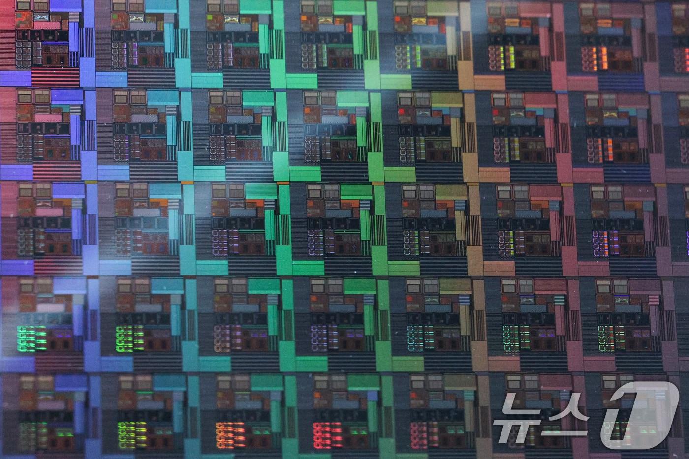 본문 이미지 - 5일 경기 과천시 과천국립과학관 미래상상SF관에서 열린 '현대 전자 문명의 기반, 반도체' 전시에서 반도체가 전시되어 있다.  2025.3.5 ⓒ 뉴스1 신웅수 기자