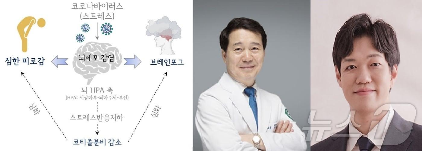 왼쪽부터 손창규 교수, 이진석 교수. &#40;대전대 제공.재판매 및 DB금지&#41;/뉴스1