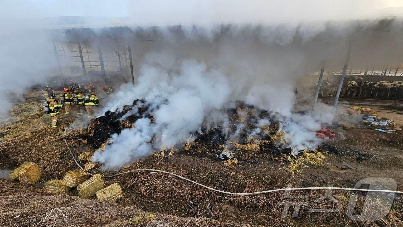 본문 이미지 - 화재 현장. (경기도소방재난본부 제공. 재판매 및 DB 금지) 2025.3.6/뉴스1