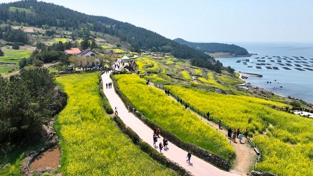 본문 이미지 - 청산도 슬로길 전경 (완도군 제공. 재판매 및 DB금지) 