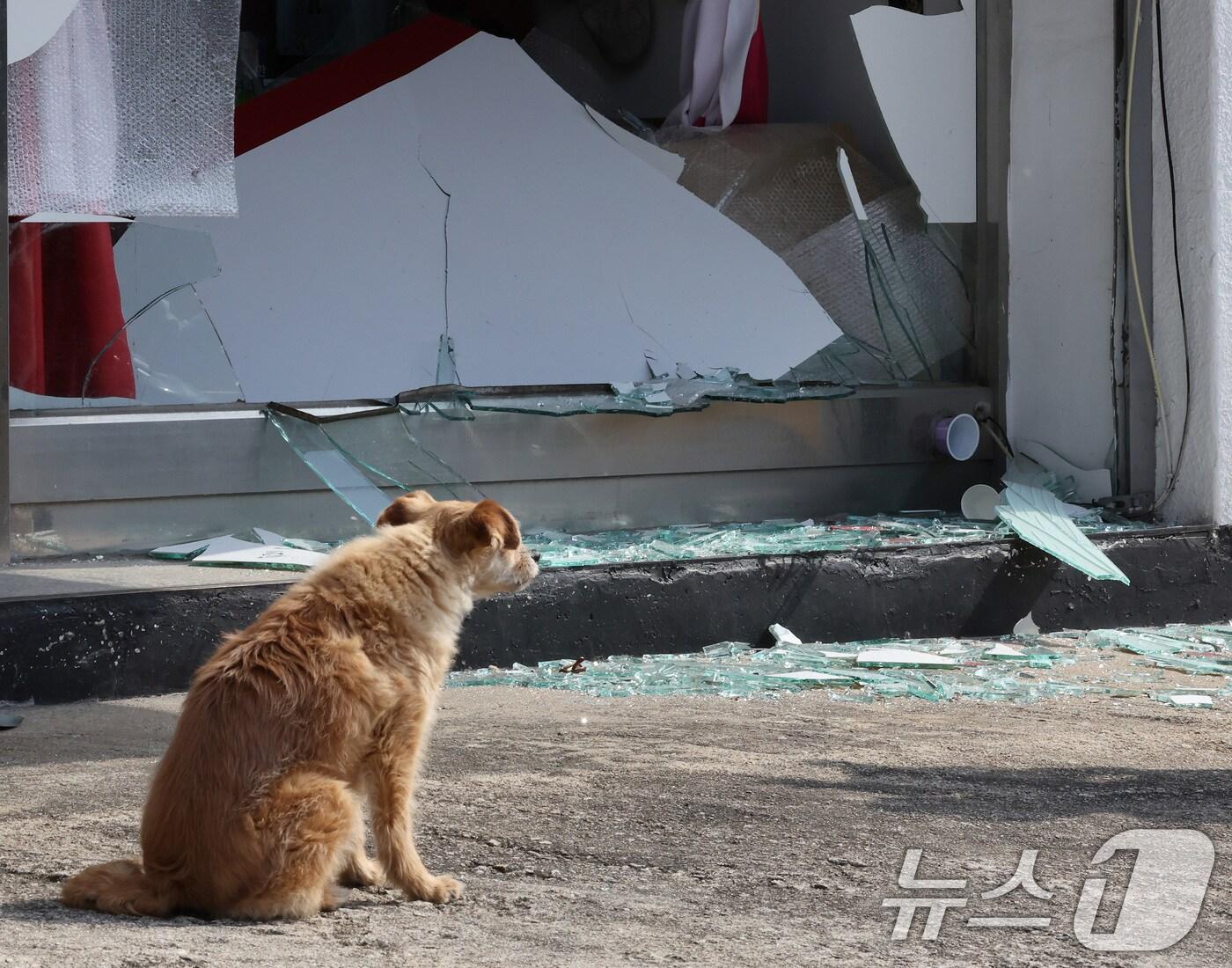 본문 이미지 - 한미 통합화력 실사격 훈련이 실시된 6일 경기 포천시 이동면 노곡리의 한 민가에 공군 공대지 폭탄이 떨어져 유리창이 깨져 있다. 2025.3.6/뉴스1 ⓒ News1 이동해 기자