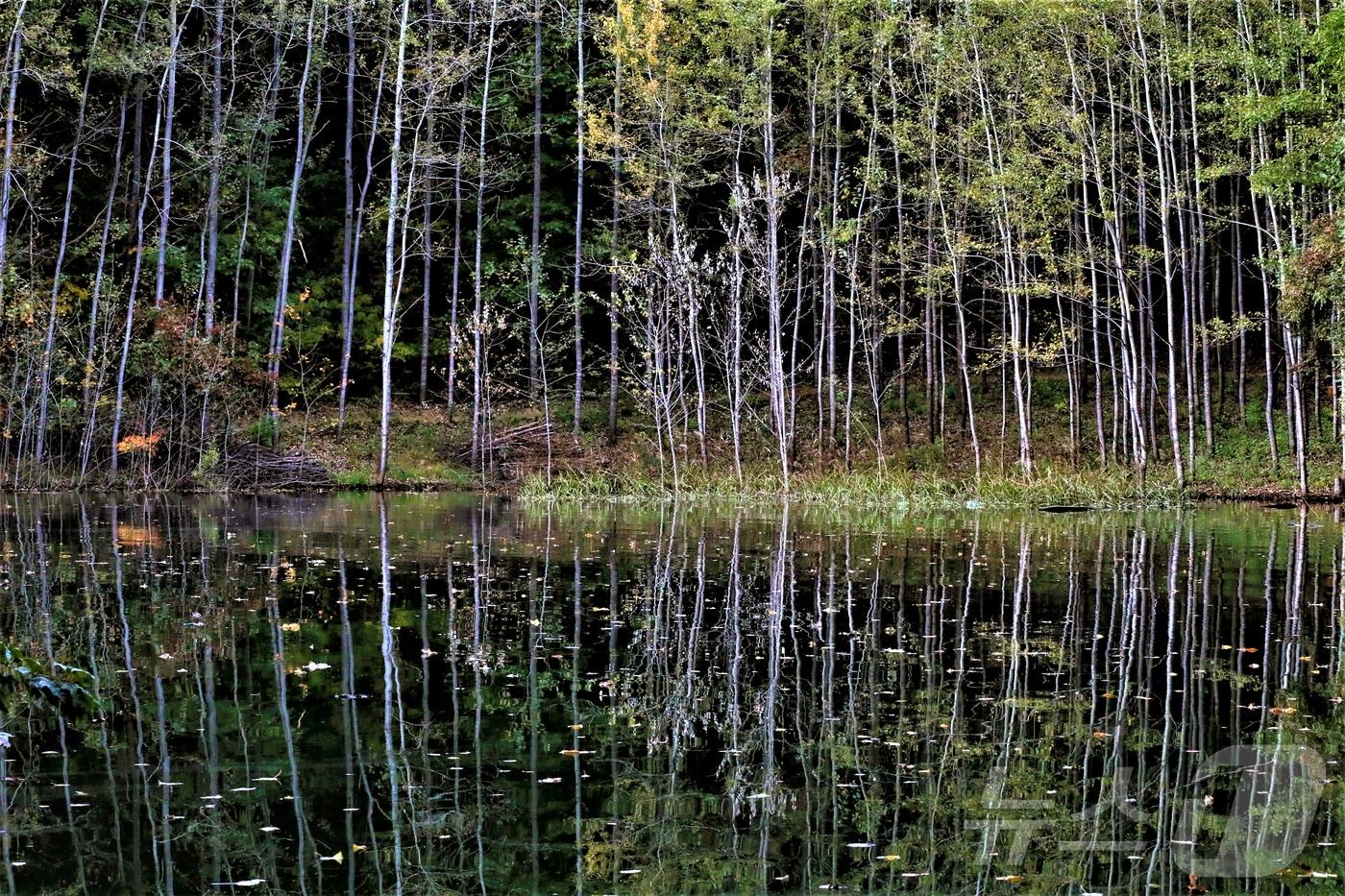 본문 이미지 - 횡성호수길.(횡성군 제공. 재판매 및 DB금지)/뉴스1