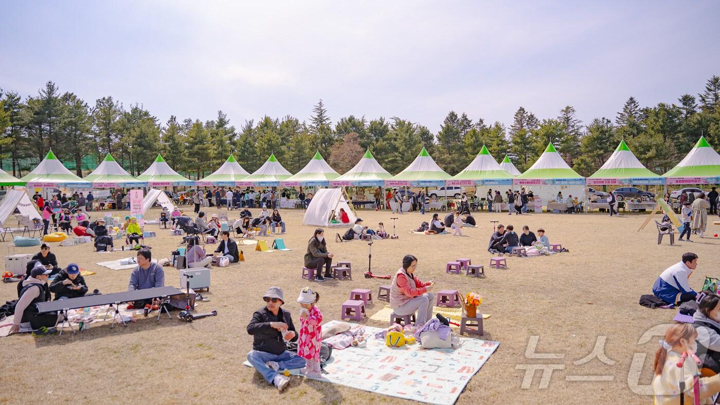 지난해 영랑호 벚꽃축제 현장.&#40;속초시 제공, 재판매 및 DB 금지&#41; 2025.3.6/뉴스1