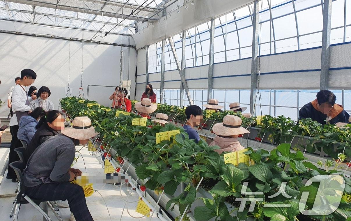 본문 이미지 - 광주시 농업기술센터 발달장애인 &#39;치유 농업 프로그램&#39;.&#40;광주시 제공, 재판매 및 DB 금지&#41; 