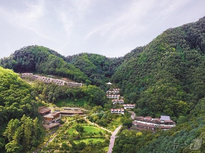 본문 이미지 - 홍천 선마을 전경./뉴스1