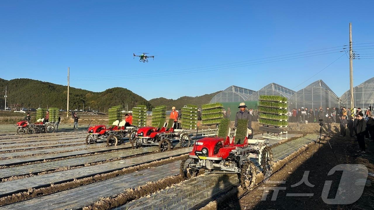 본문 이미지 - 합천군 영농현장(합천군 제공. 재판매 및 DB금지).