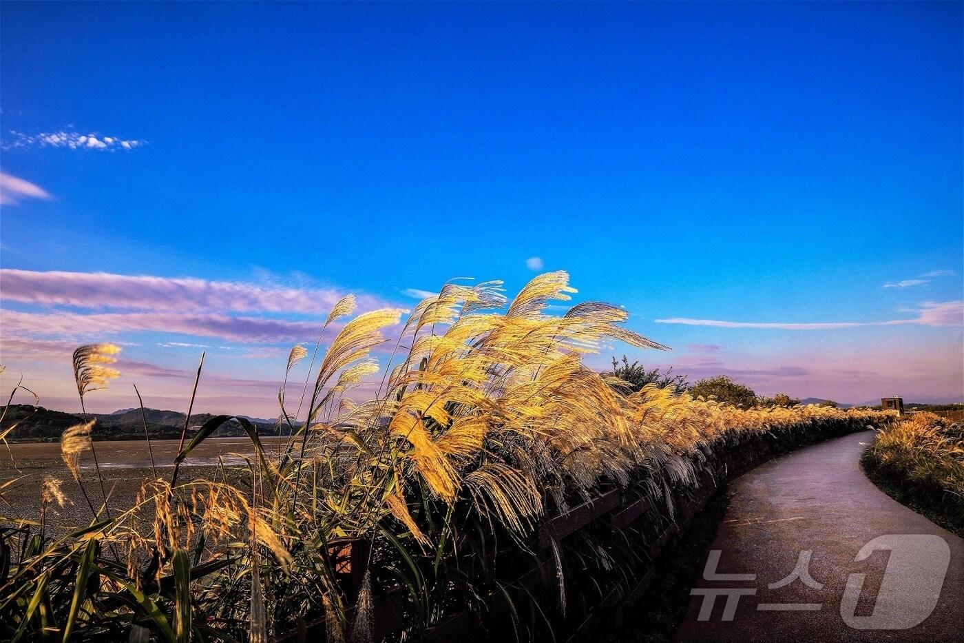 주남저수지 모습(창원시 제공, 재판매 및 DB금지)