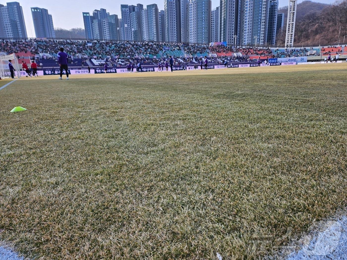 본문 이미지 -  안양종합운동장의 잔디ⓒ News1 안영준 기자