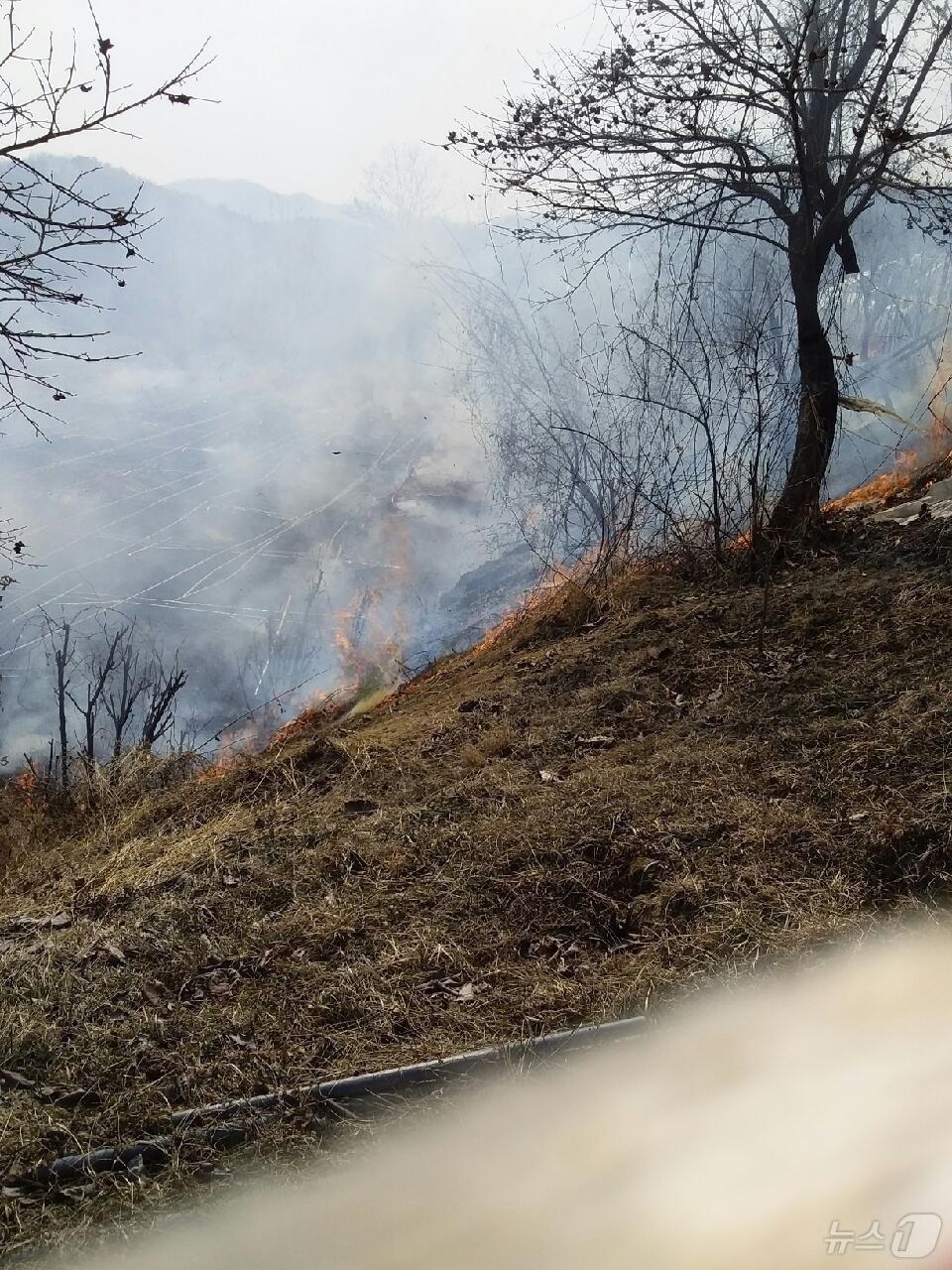 본문 이미지 - 4일 경기도는 매우 건조한 가운데 바람이 강하게 불면서 산불 등 각종 화재 예방에 각별한 주의가 요구된다. 사진은 지난 3월 9일 경기 광주시 남종면 수청리 일원에 산불이 발생한 모습.(산림청 제공. 재판매 및 DB 금지) 2025.3.9/뉴스1