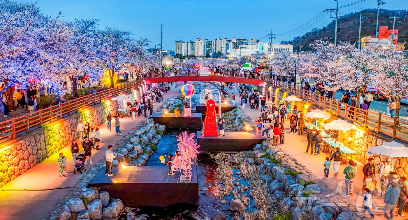 구미 금오천 벚꽃축제 모습(구미시 제공.재판매 및 DB금지) 2025.4.1 /뉴스1