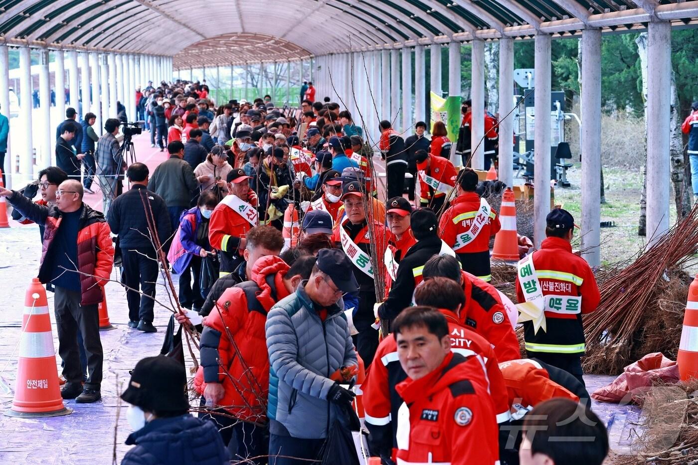 강원 태백시 나무 나눠주기 행사 자료 사진. (태백시. 재판매 및 DB금지) 2025.4.1/뉴스1