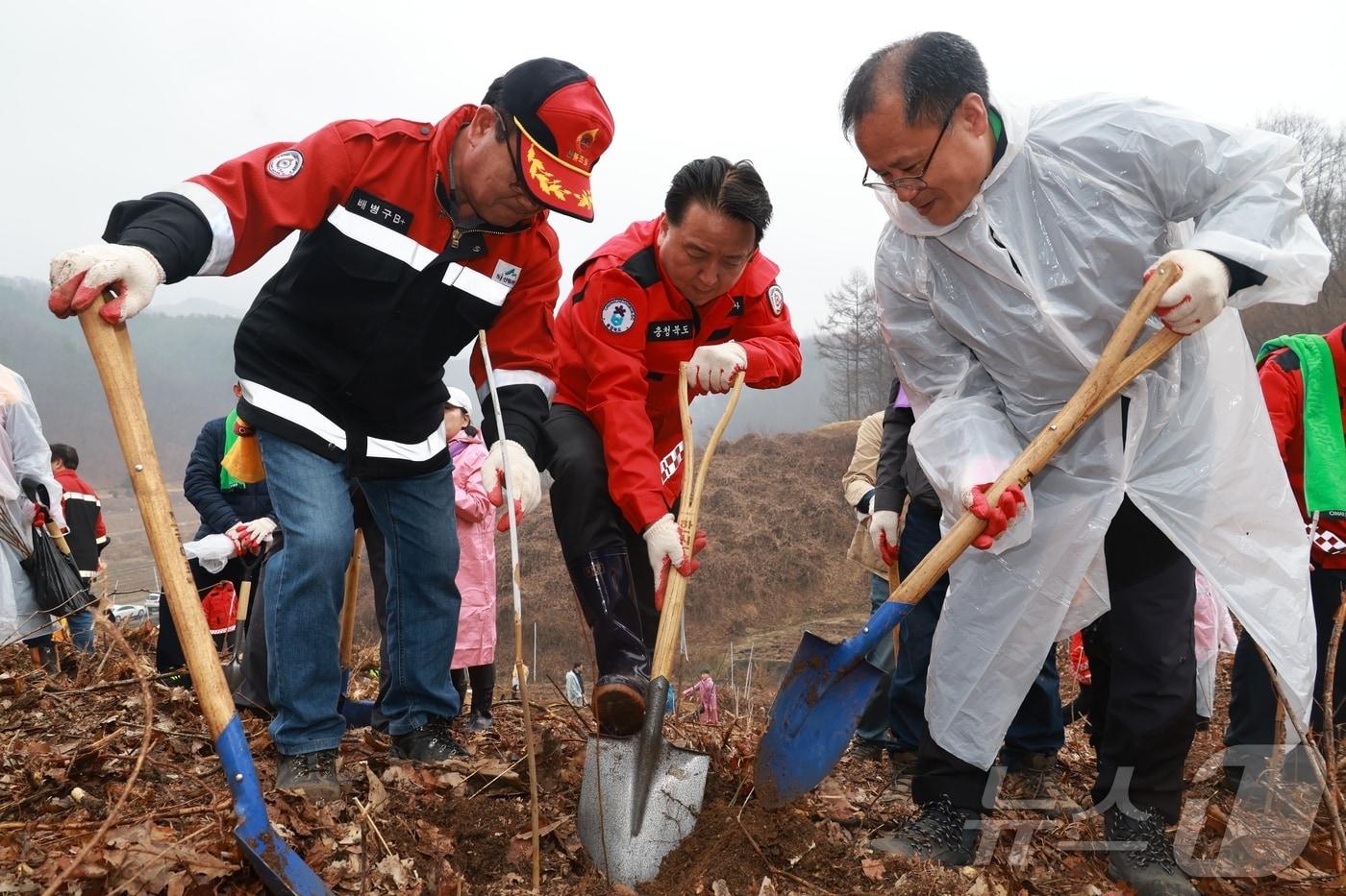 김영환 충북지사가 오는 5일 식목일을 앞두고 제천 시유림에 헛개나무를 심고 있다.&#40;충북도 제공. 재판매 및 DB 금지&#41; /뉴스1