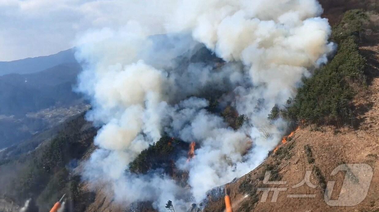 본문 이미지 - 거창 산불 현장.(산림청 제공. 재판매 및 DB금지.)
