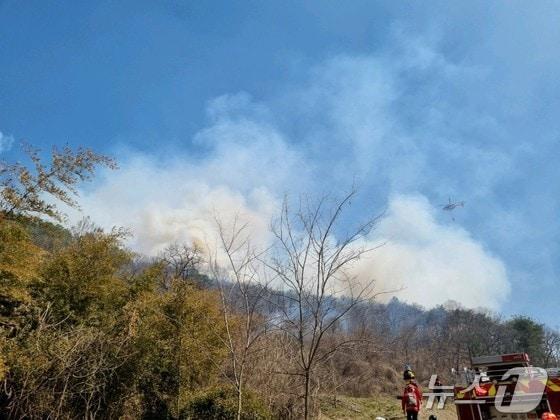 본문 이미지 -  지난달 23일 발생한 충북 옥천·영동 산불 원인이 잡초 태우기로 드러났다.(자료사진)/뉴스1