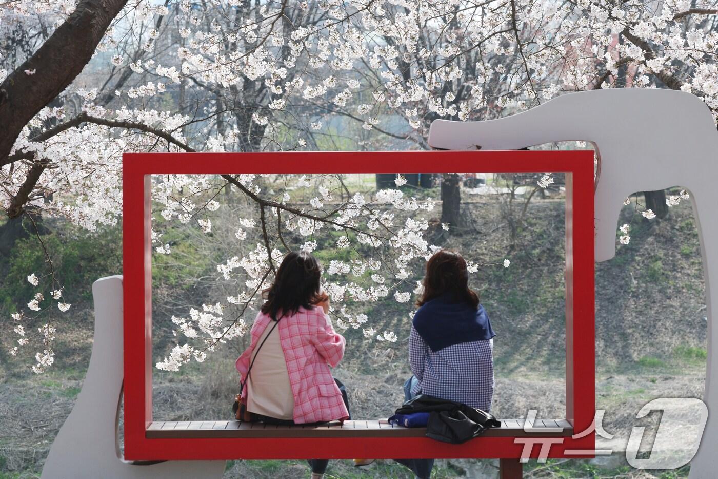 시민들이 만개한 벚꽃을 즐기며 봄을 만끽하고 있다. (자료사진) ⓒ News1 김영운 기자