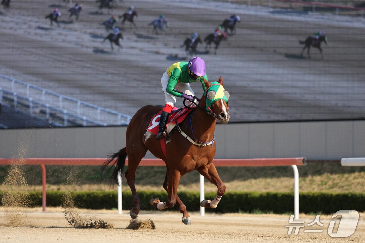우승마 '오아시스블루'와 진겸 기수(렛츠런파크부산경남 제공. 재판매 및 DB 금지)