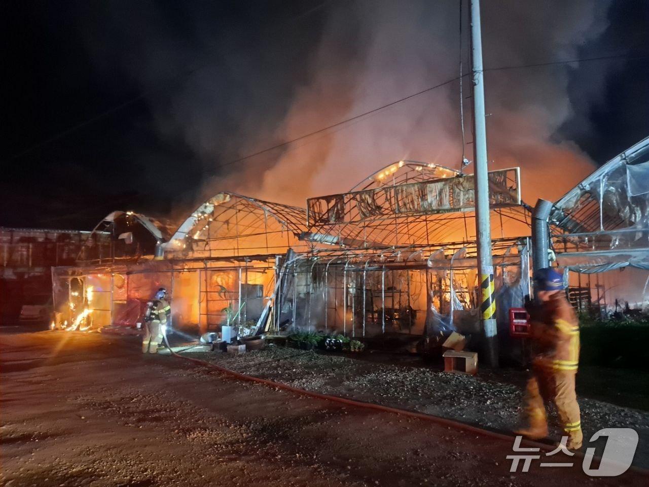 본문 이미지 - 광명 화훼 비닐하우스 화재(경기도소방재난본부 제공, 재판매 및 DB 금지)/뉴스1 