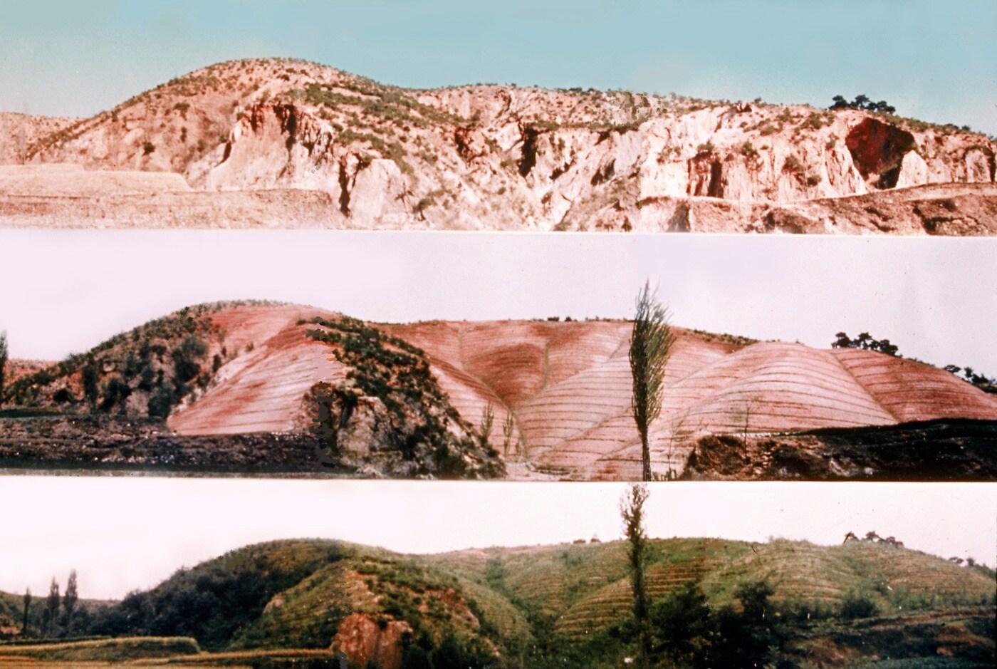 산림녹화기록물 대표이미지(포항 영일지구)(산림청 제공.재판매 및 DB금지)/뉴스1