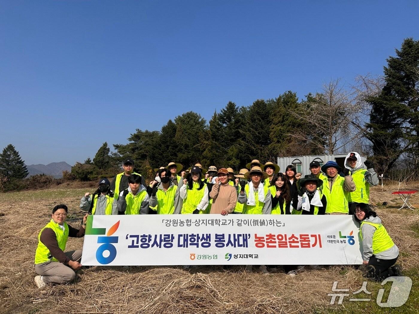 본문 이미지 - 농촌 일손 돕기.(농협 강원본부 제공. 재판매 및 DB금지)/뉴스1