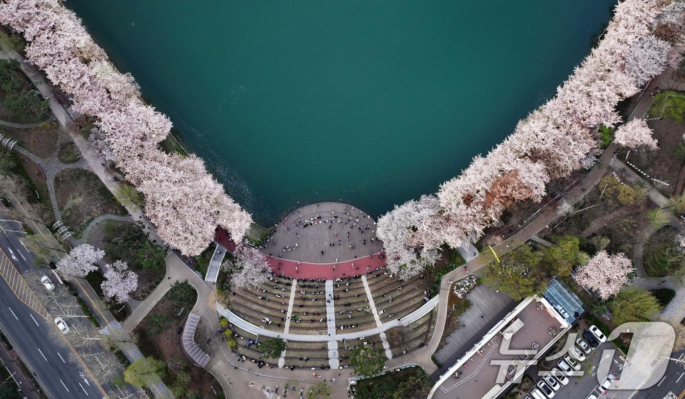 지난 10일 벚꽃이 만개한 서울 송파구 석촌호수에서 시민들이 봄을 즐기고 있다. &#40;송파구 제공. 재판매 및 DB 금지&#41; 2025.4.11/뉴스1