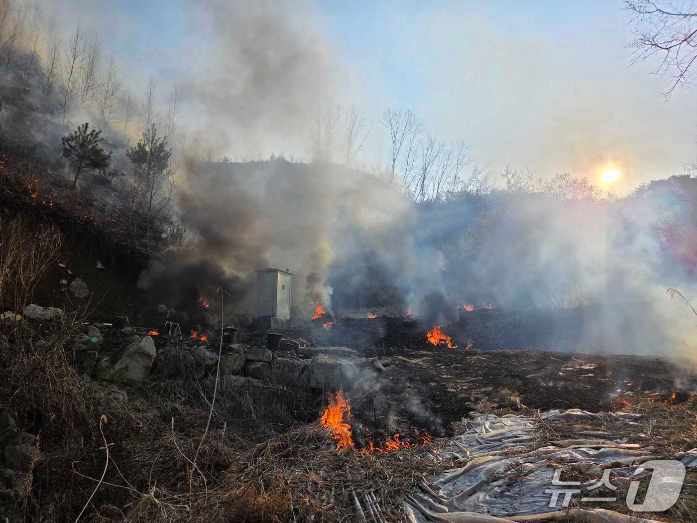 본문 이미지 - 홍천 내촌면 도관리 산불 현장.(강원도소방본부 제공, 재판매 및 DB금지)