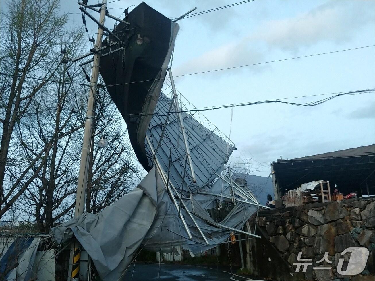 본문 이미지 - 13일 오전 6시께 울산시 울주군 삼남읍 상천리에서 강풍에 날아간 페널이 전신주를 덮쳐 있다. (울산시 제공. 재판매 및 DB 금지) /뉴스1